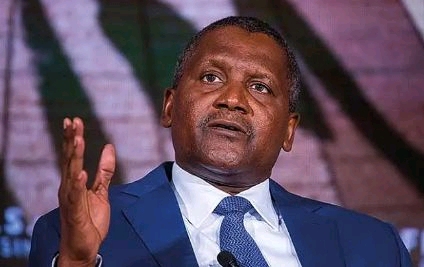 Aliko Dangote's son Abdulrahman Fasasi Biography: Age, Net Worth, Instagram, Spouse, Height, Wiki, Parents, Siblings, Children | TheCityCeleb