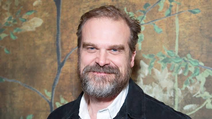 David Kenneth Harbour Biography: Age, Net Worth, Instagram, Spouse, Height, Wiki, Parents, Occupation, Movies, Awards | TheCityCeleb