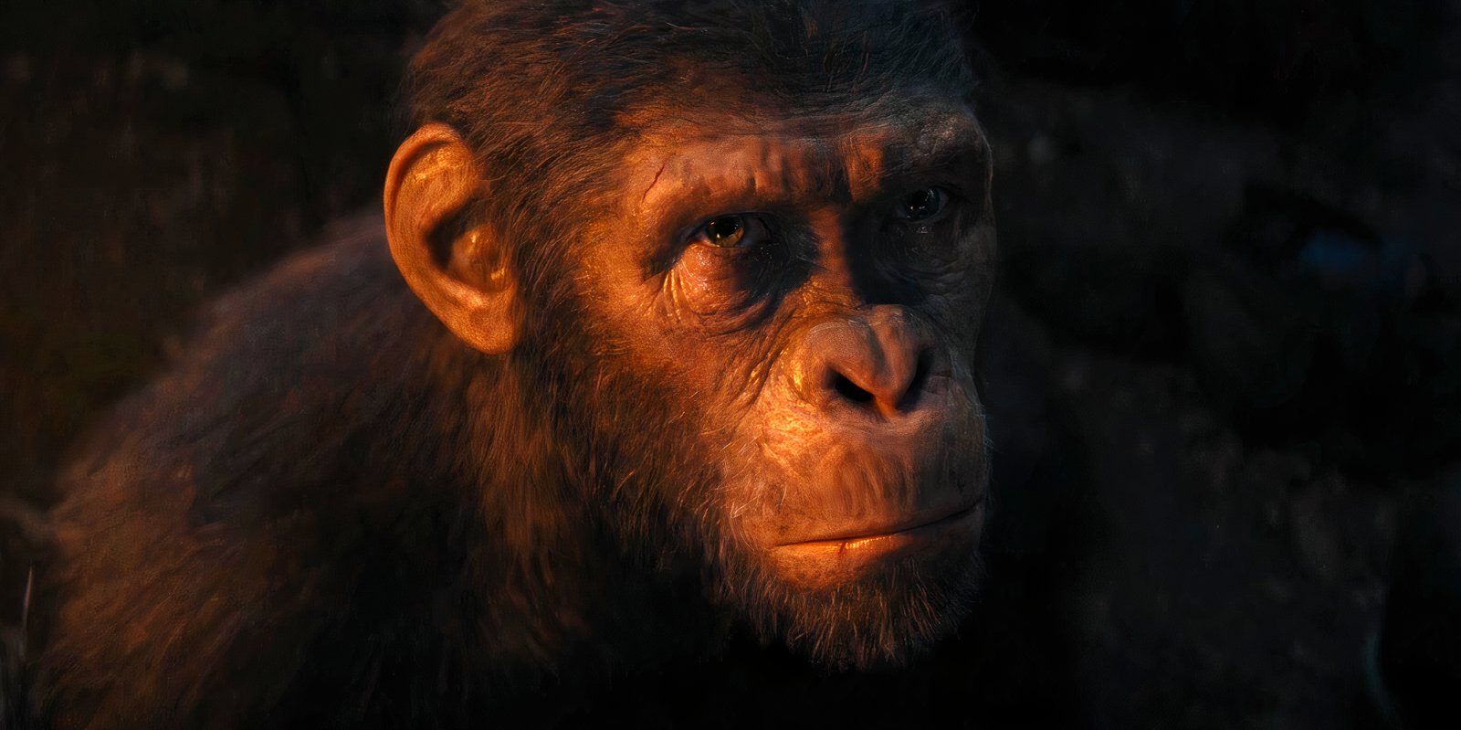 Kingdom Of The Planet Of The Apes Sequel Trilogy Seemingly Confirmed By New Box Office Report