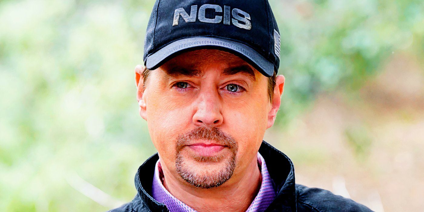 NCIS Season 22 Report Hints At McGee’s Possible Show-Changing New Job