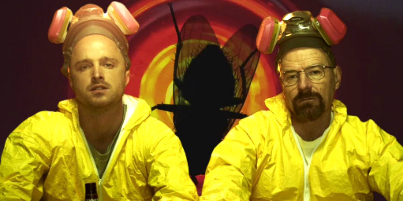 Breaking Bad's Fly Explained: Here's What The Divisive Episode Means