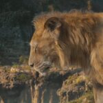 Mufasa: The Lion King Risks Breaking A 16 Year Rotten Tomatoes Streak If It Can't Beat 2019's Live-Action Remake