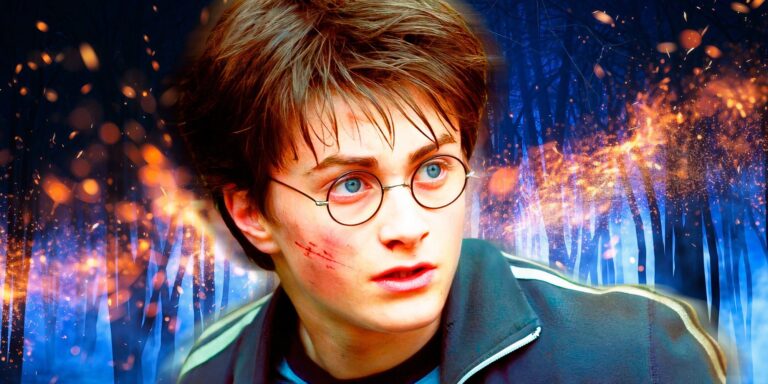 HBO's Harry Potter Remake Could Fix 1 Franchise Controversy Once & For All (But It's Risky)