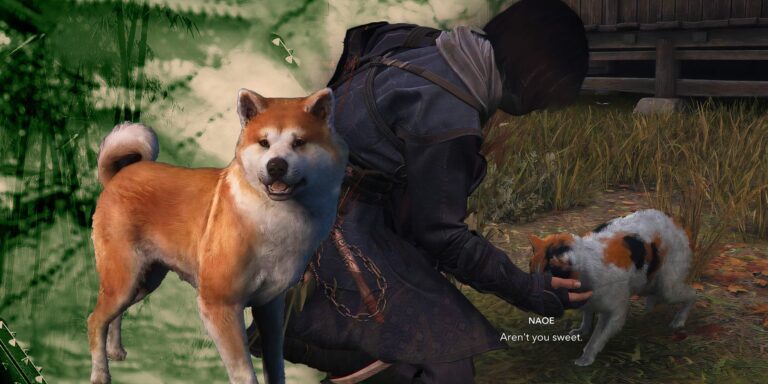 Make Sure You Stop & Pet The Puppies (& All Animals) In Assassin's Creed Shadows